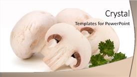  Presentation with champignon mushroom - Cool new slides with champignon mushroom and fresh parsley isolated on white background backdrop and a sky blue colored foreground
