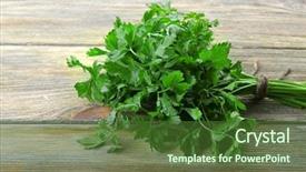  Presentation with wooden - Cool new slides with fresh-parsley-on-wooden-background backdrop and a tawny brown colored foreground