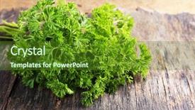  Presentation with wooden - Cool new PPT layouts with fresh-parsley-on-wooden-background backdrop and a tawny brown colored foreground