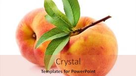  Presentation with leaves - Presentation theme having fresh-peach-with-leaves background and a coral colored foreground