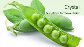  Presentation with peas - PPT layouts consisting of fresh peas are contained within a pod isolated on a white background background and a mint green colored foreground