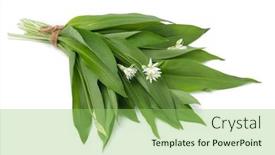  Presentation with bunch - Slide deck having fresh-picked-bunch-of-ramsons background and a seafoam green colored foreground
