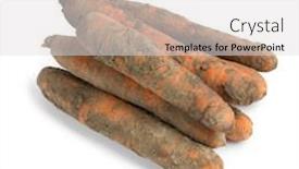  Presentation with carrots - Slides featuring fresh-picked-homegrown-winter-carrots background and a light gray colored foreground