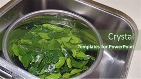  Presentation with fresh water - Slides having fresh-picked-kaffir-lime-leaves background and a tawny brown colored foreground