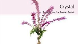  Presentation with lavender - Theme with fresh picked purple lavender flowers in a clear glass flower vase isolated on white with room for your text background and a lemonade colored foreground