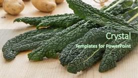  Presentation with tea leaves fresh green leaf - Cool new slide deck with fresh picked raw cavolo nero backdrop and a tawny brown colored foreground