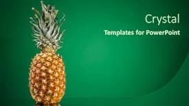  Presentation with pineapple - Audience pleasing PPT theme consisting of fresh-pineapple-on-green-background backdrop and a ocean colored foreground