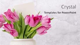  Presentation with tulip - Slide set enhanced with fresh-pink-tulip-flowers-bouquet background and a white colored foreground