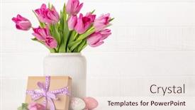  Presentation with tulip - Slide deck enhanced with fresh-pink-tulip-flowers-bouquet background and a sky blue colored foreground