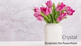  Presentation with tulip - Slides consisting of fresh-pink-tulip-flowers-bouquet background and a light gray colored foreground