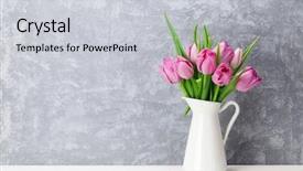  Presentation with tulip - PPT theme consisting of fresh pink tulip flowers bouquet background and a light gray colored foreground