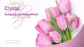  Presentation with tulip - Slide deck with fresh pink tulip flowers bouquet background and a pink colored foreground