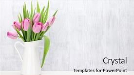  Presentation with tulip - Colorful presentation theme enhanced with fresh pink tulip flowers bouquet backdrop and a white colored foreground