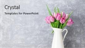  Presentation with tulip - Amazing theme having fresh pink tulip flowers bouquet backdrop and a light gray colored foreground