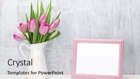  Presentation with frame pink - Audience pleasing slide deck consisting of fresh pink tulip flowers bouquet backdrop and a light gray colored foreground