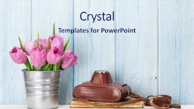  Presentation with drawing of pink lotus flower - PPT theme with fresh pink tulip flowers bouquet and camera over old book on shelf in front of wooden wall background and a sky blue colored foreground