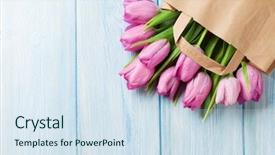  Presentation with fresh fruits vegetables groceries paper - PPT layouts enhanced with fresh pink tulip flowers background and a sky blue colored foreground