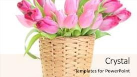  Presentation with pink white - Amazing slide set having fresh pink tulips on white background backdrop and a lemonade colored foreground