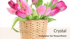  Presentation with pink white - Colorful presentation theme enhanced with fresh pink tulips on white backdrop and a lemonade colored foreground