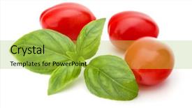  Presentation with leaf water drops fresh - Colorful PPT layouts enhanced with fresh plum tomato with basil backdrop and a  colored foreground