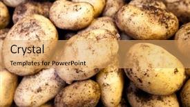  Presentation with potato - Beautiful slide deck featuring fresh potato close up backdrop and a yellow colored foreground