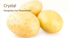  Presentation with potato - Cool new presentation theme with fresh potatoes isolated on white backdrop and a cream colored foreground