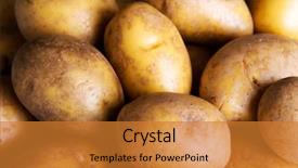  Presentation with wooden - Presentation theme consisting of fresh potatoes over wooden background background and a  colored foreground