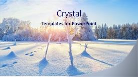  Presentation with forest winter - PPT layouts with fresh powder snow winter nature background and a light blue colored foreground