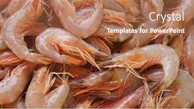  Presentation with prawn - PPT layouts consisting of fresh-prawn-background background and a coral colored foreground