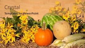  Presentation with sunflowers - Audience pleasing presentation theme consisting of fresh-produce-with-sunflowers-against backdrop and a yellow colored foreground