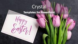  Presentation with purple flowers - Slide set featuring fresh-purple-tulip-flowers background and a dark gray colored foreground