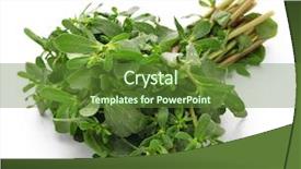  Presentation with weed - Presentation consisting of fresh purslane edible weeds isolated background and a tawny brown colored foreground