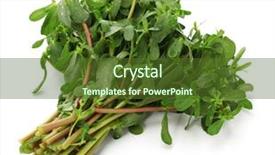  Presentation with weed - Beautiful presentation design featuring fresh purslane edible weeds isolated backdrop and a tawny brown colored foreground