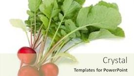  Presentation with fresh water splash green apple isolated white - Amazing slide deck having fresh-radish-isolated-on-white backdrop and a soft green colored foreground