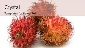  Presentation with rambutan - Beautiful theme featuring fresh-rambutan-on-white-background backdrop and a coral colored foreground