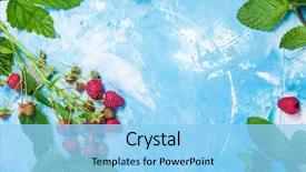  Presentation with border - PPT layouts featuring fresh raspberry border with leaves background and a light blue colored foreground