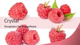  Presentation with fresh ginger root on white - Cool new theme with fresh raspberry on a white backdrop and a  colored foreground