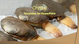  Presentation with clam shell - Amazing slide deck having fresh-raw-alive-soft-shell backdrop and a tawny brown colored foreground