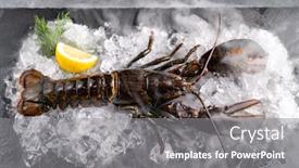 Presentation with market food - Presentation with fresh-raw-canadian-lobster background and a gray colored foreground
