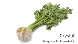  Presentation with green leaves - Slide deck having fresh-raw-celery-root background and a white colored foreground