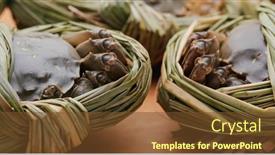  Presentation with crab - Audience pleasing presentation design consisting of fresh-raw-chinese-mitten-crab backdrop and a tawny brown colored foreground