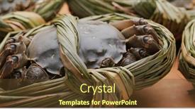  Presentation with crab - Cool new PPT theme with fresh-raw-chinese-mitten-crab backdrop and a tawny brown colored foreground