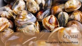  Presentation with clam - PPT layouts enhanced with fresh-raw-clam-prepare background and a coral colored foreground