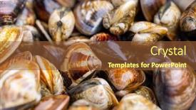  Presentation with clam - Presentation theme with fresh-raw-clam-prepare background and a tawny brown colored foreground