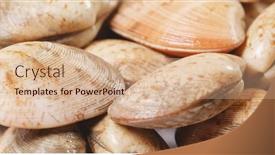  Presentation with clam - 