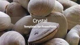  Presentation with clams - Theme consisting of england food - fresh raw clams for sale background and a tawny brown colored foreground