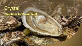  Presentation with pacific - Audience pleasing slide set consisting of fresh-raw-closed-pacific-oysters backdrop and a tawny brown colored foreground