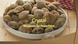  Presentation with clams - Colorful PPT theme enhanced with fresh raw closed warty venus backdrop and a tawny brown colored foreground