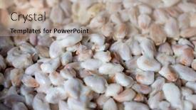  Presentation with cocoa seed - PPT layouts consisting of fresh-raw-cocoa-pod-seed background and a  colored foreground