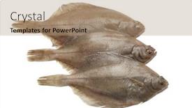  Presentation with fishes - Slide deck having fresh-raw-common-dab-fishes background and a coral colored foreground